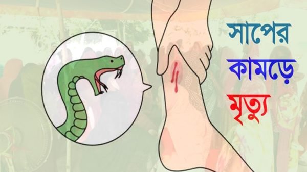 গাংনীতে সাপের কামড়ে পঞ্চম শ্রেণীর ছাত্রের মৃত্যু