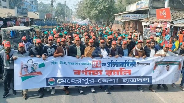 নানা আয়োজনে মেহেরপুরে ছাত্রদলের ৪৬তম প্রতিষ্ঠাবার্ষিকী পাল