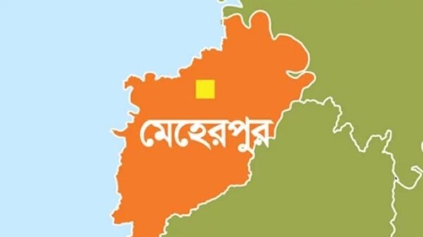 গাংনীতে ট্রাক চাপায় এক শিশু নিহত, আহত-১