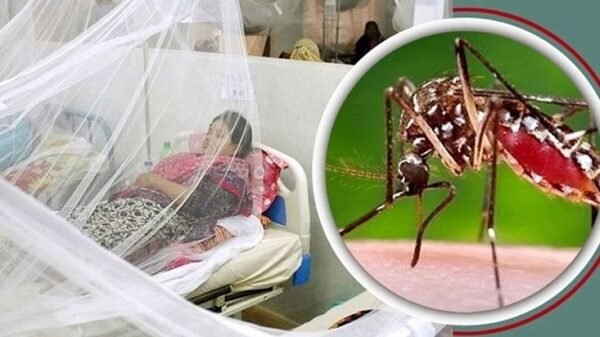 ২৪ ঘণ্টায় ডেঙ্গুতে রেকর্ড সংখ্যক আক্রান্ত