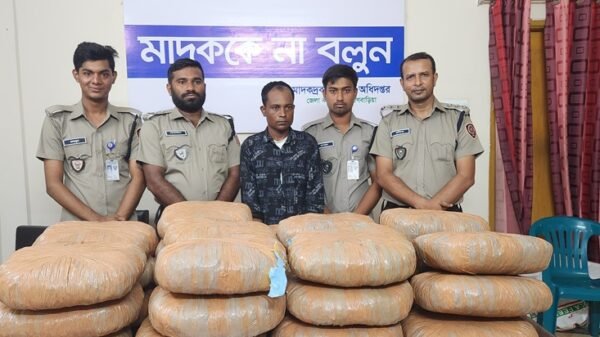 পিকআপে অভিনব পদ্ধতিতে পাচারকালে ১১৯ কেজি গাঁজা উদ্ধার