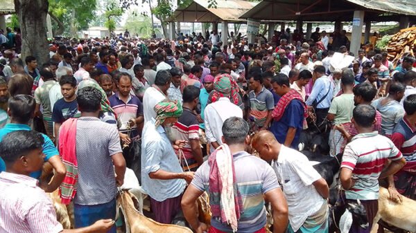 শেষ মূহুর্তে জমে উঠেছে বারাদি ছাগলের হাট, দেখা নেই আশানুরূপ ক্রেতার