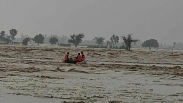পাকিস্তানে বর্ষায় ২৪ ঘণ্টায় ৬৩ জনের মৃত্যু