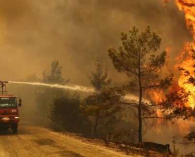 তুরস্কের মধ্যাঞ্চলে দাবানলে নিহত ১০, আহত ১৪