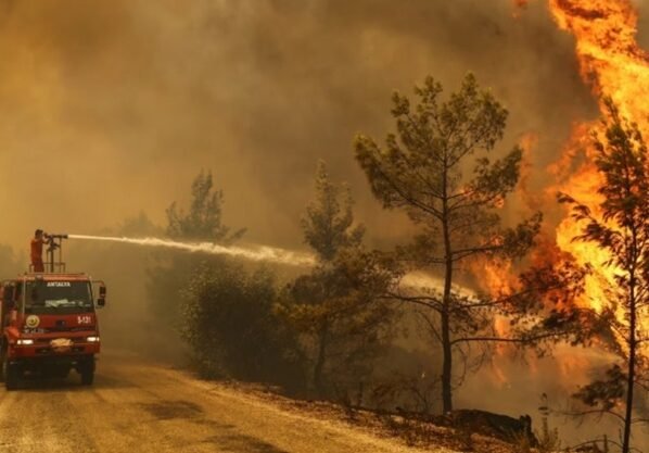 তুরস্কের মধ্যাঞ্চলে দাবানলে নিহত ১০, আহত ১৪