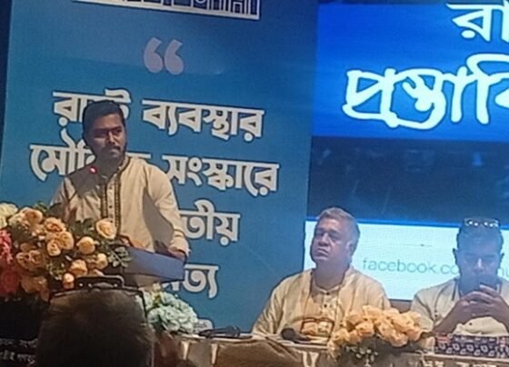 অন্তর্বর্তী সরকার মেরুদণ্ডহীন ও দুর্বল: নুরুল হক নুর