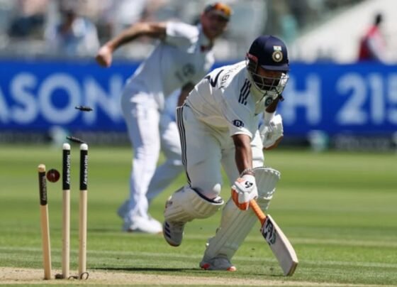 ছক্কা ও ফিফটিতে পান্তের যত কীর্তি