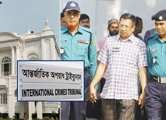 সাবেক আইজিপি মামুনের ক্ষমার বিষয়টি বিবেচনা করবে ট্রাইব্যুনাল