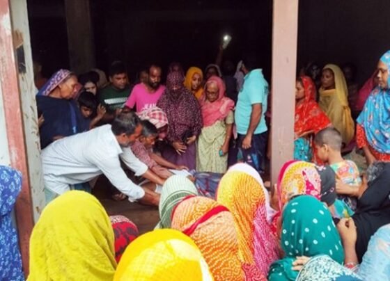 গাংনীতে বিদ্যুতায়িত হয়ে স্বামী স্ত্রীর মৃত্যু