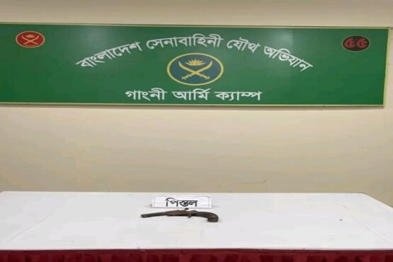 গাংনীতে যৌথবাহিনীর অভিযানে আগ্নেয়াস্ত্র উদ্ধার