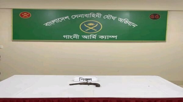 গাংনীতে যৌথবাহিনীর অভিযানে আগ্নেয়াস্ত্র উদ্ধার