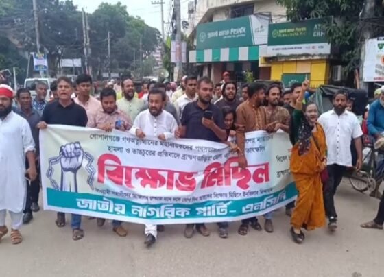 গোপালগঞ্জে হামলার ঘটনায় ব্রাহ্মণবাড়িয়ায় এনসিপি নেতাকর্মীদের বিক্ষোভ