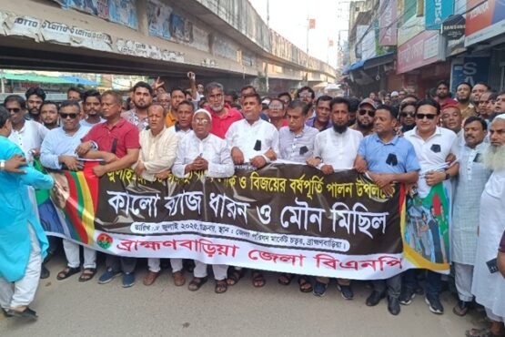 জুলাই-আগস্টের চেতনা বিঘ্নিত হলে শহদিদের আত্মার অবমূল্যায়ন করা হবে-মাহবুব শ্যামল