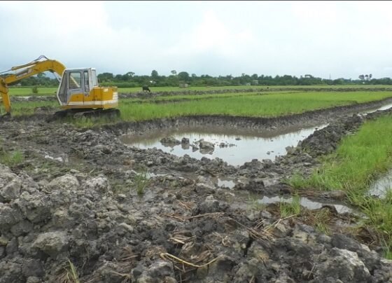 ব্রাহ্মণবাড়িয়ায় ড্রেজার দিয়ে ফসলি জমি থেকে অবৈধভাবে মাটি কাটার অভিযোগ