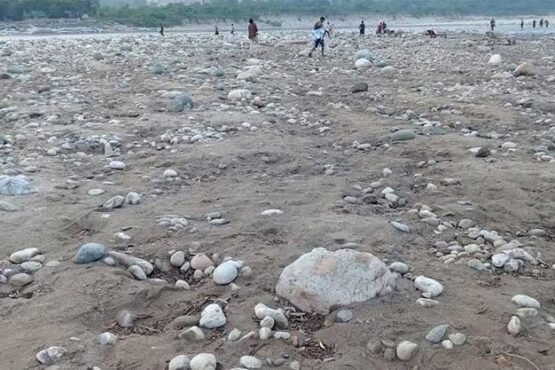 লুট হওয়া সাদা পাথর আগের জায়গায় ফেলতে হবে: হাইকোর্ট