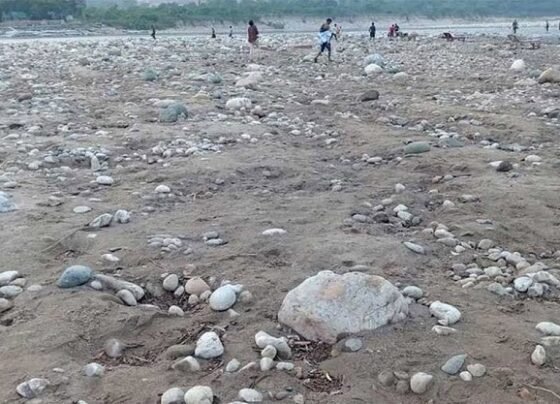 লুট হওয়া সাদা পাথর আগের জায়গায় ফেলতে হবে: হাইকোর্ট