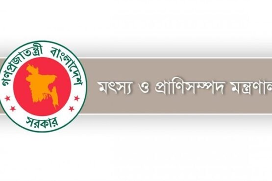 ব্রাজিল থেকে মাংস আমদানির খবর ভিত্তিহীন
