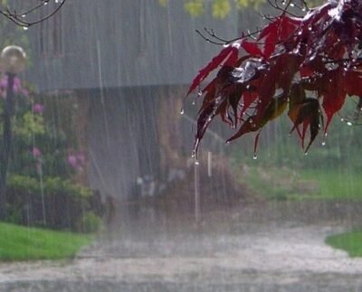 দেশজুড়ে বাড়বে তাপমাত্রা, ঝরবে বৃষ্টি