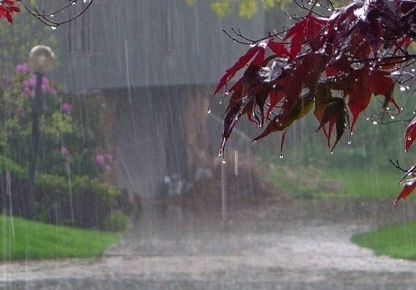 দেশজুড়ে বাড়বে তাপমাত্রা, ঝরবে বৃষ্টি