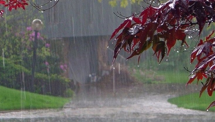 দেশজুড়ে বাড়বে তাপমাত্রা, ঝরবে বৃষ্টি