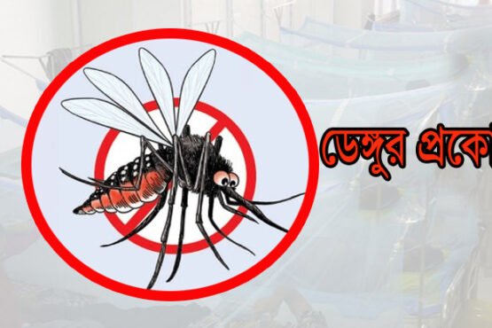 ডেঙ্গুতে মৃত্যু ১০০ ছাড়ালো