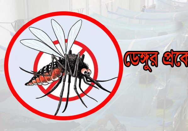 ডেঙ্গুতে মৃত্যু ১০০ ছাড়ালো