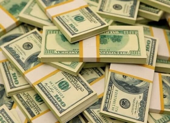 রিজার্ভ ফের ৩১ বিলিয়ন ডলার ছাড়াল