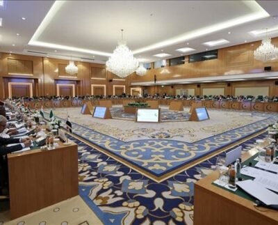 জাতিসংঘে ইসরাইলের সদস্যপদ স্থগিতে কাজ করবে ওআইসি