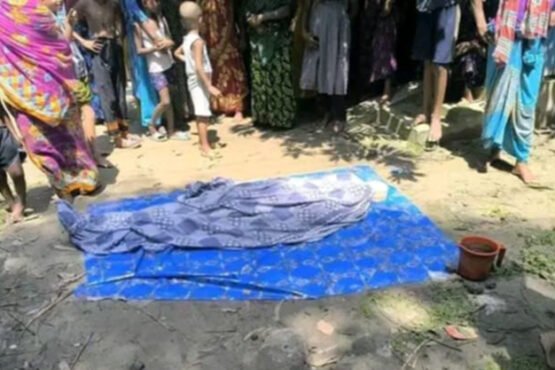 শেরপুর ঝিনাইগাতীতে বাস চাপায় বৃদ্ধ পথচারী নিহত