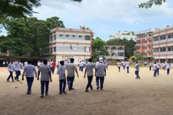 শেরপুরে ভিমরুলের কামড়ে ১৬ শিক্ষার্থী আহত