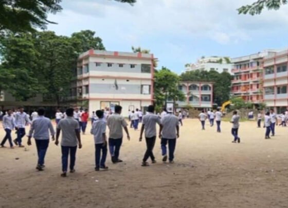 শেরপুরে ভিমরুলের কামড়ে ১৬ শিক্ষার্থী আহত