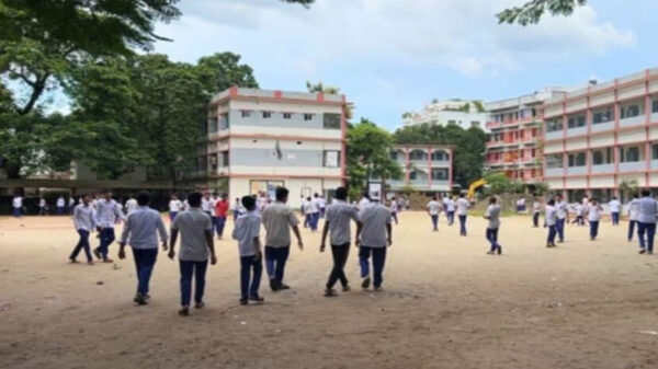 শেরপুরে ভিমরুলের কামড়ে ১৬ শিক্ষার্থী আহত