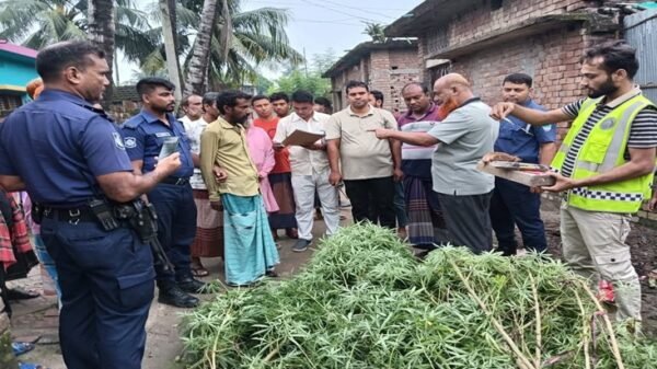 মুজিবনগরে গাঁজার গাছসহ একজন আটক