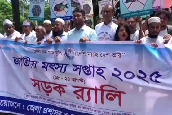 ব্রাহ্মণবাড়িয়ায় জাতীয় মৎস্য সপ্তাহ উপলক্ষে তিতাস নদীতে দেশীয় মাছের পোনা অবমুক্ত