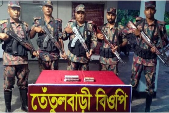 গাংনী সীমান্তে বিজিবির অভিযানে ৫ লাখ ৮৮ হাজার টাকার ভারতীয় ওষুধ উদ্ধার