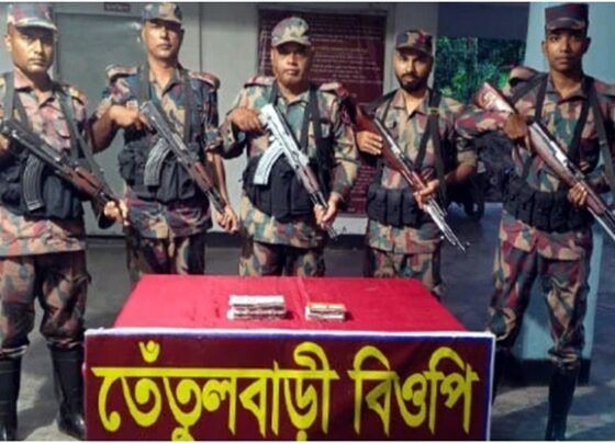 গাংনী সীমান্তে বিজিবির অভিযানে ৫ লাখ ৮৮ হাজার টাকার ভারতীয় ওষুধ উদ্ধার