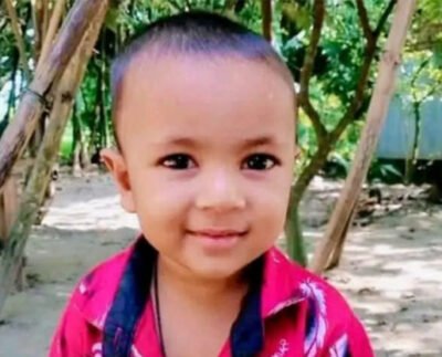 শেরপুরে ভিমরুলের কামড়ে শিশুর মৃত্যু