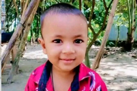 শেরপুরে ভিমরুলের কামড়ে শিশুর মৃত্যু