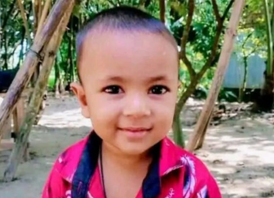 শেরপুরে ভিমরুলের কামড়ে শিশুর মৃত্যু