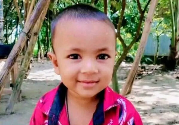 শেরপুরে ভিমরুলের কামড়ে শিশুর মৃত্যু