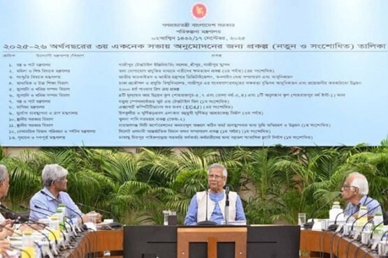 একনেকে ১৩ প্রকল্প অনুমোদন, খরচ ৮৩৩৩ কোটি টাকা