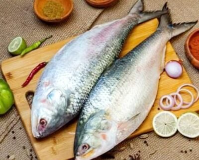 ভারতে ১ হাজার ২০০ টন ইলিশ রফতানির সিদ্ধান্ত