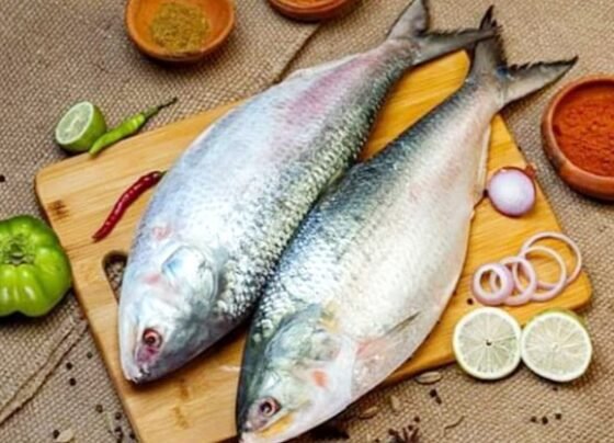 ভারতে ১ হাজার ২০০ টন ইলিশ রফতানির সিদ্ধান্ত