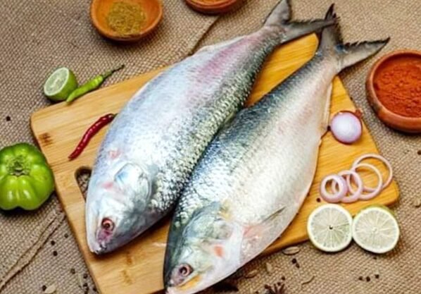 ভারতে ১ হাজার ২০০ টন ইলিশ রফতানির সিদ্ধান্ত