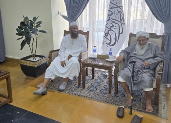 আফগানিস্তান গেলেন মধুপুরের পীর, মামুনুল হকসহ ৬ আলেম