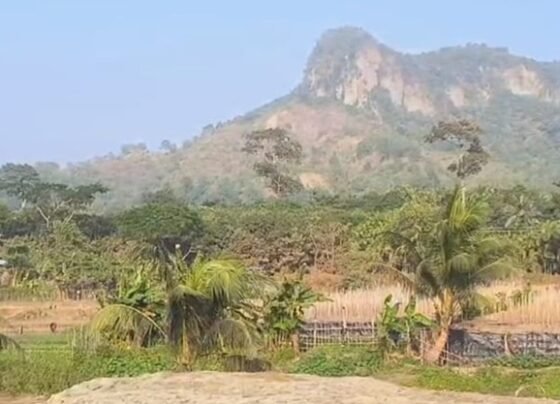 টেকনাফে অপহরণের শিকার ৫ জনকে হাত-পা বাঁধা অবস্থায় উদ্ধার