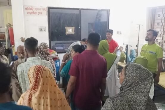 জীবননগরে পূর্ব শত্রুতার জেরে আপন দুই ভাইকে কুপিয়ে হত্যা