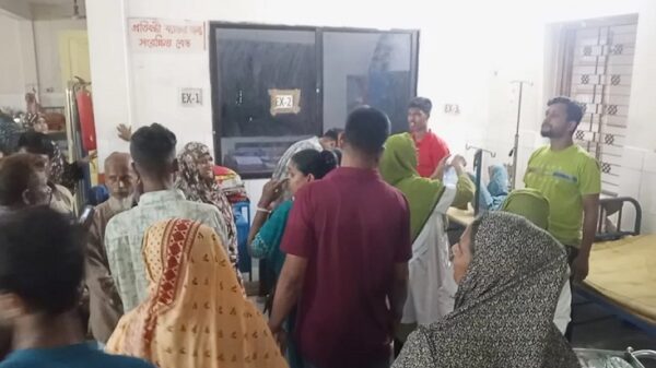 জীবননগরে পূর্ব শত্রুতার জেরে আপন দুই ভাইকে কুপিয়ে হত্যা