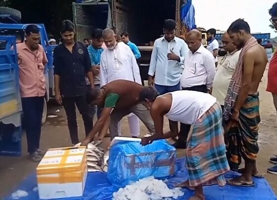 ব্রাহ্মণবাড়িয়ার আখাউড়া দিয়ে ভারতে গেল ১২’শ কেজি ইলিশ