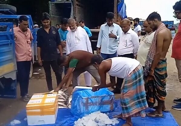 ব্রাহ্মণবাড়িয়ার আখাউড়া দিয়ে ভারতে গেল ১২’শ কেজি ইলিশ